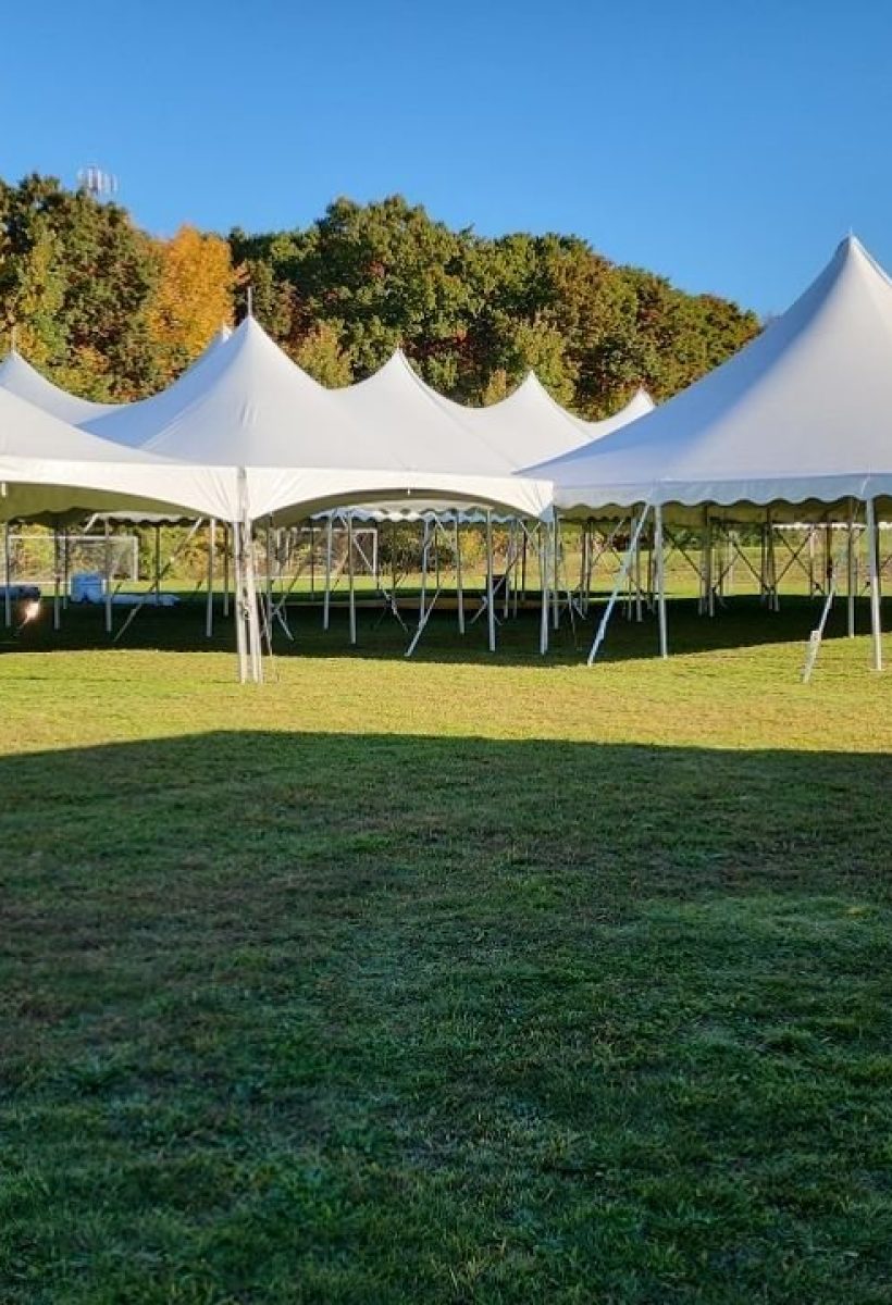 White event tents set up on green grass under a clear sky.